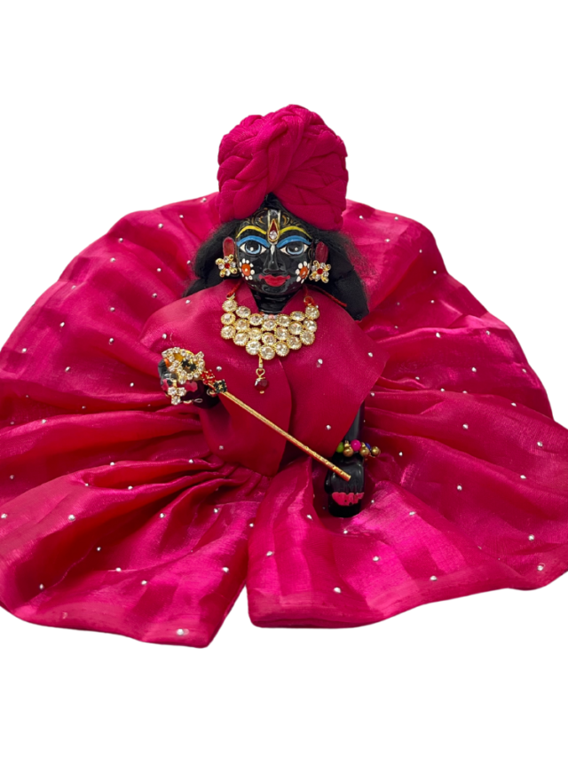 cropped Laddu Gopal Silk Dress 1.png